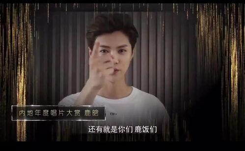 平乐勇哥爆料视频大全集,揭秘幕后真相，带你走进真实世界